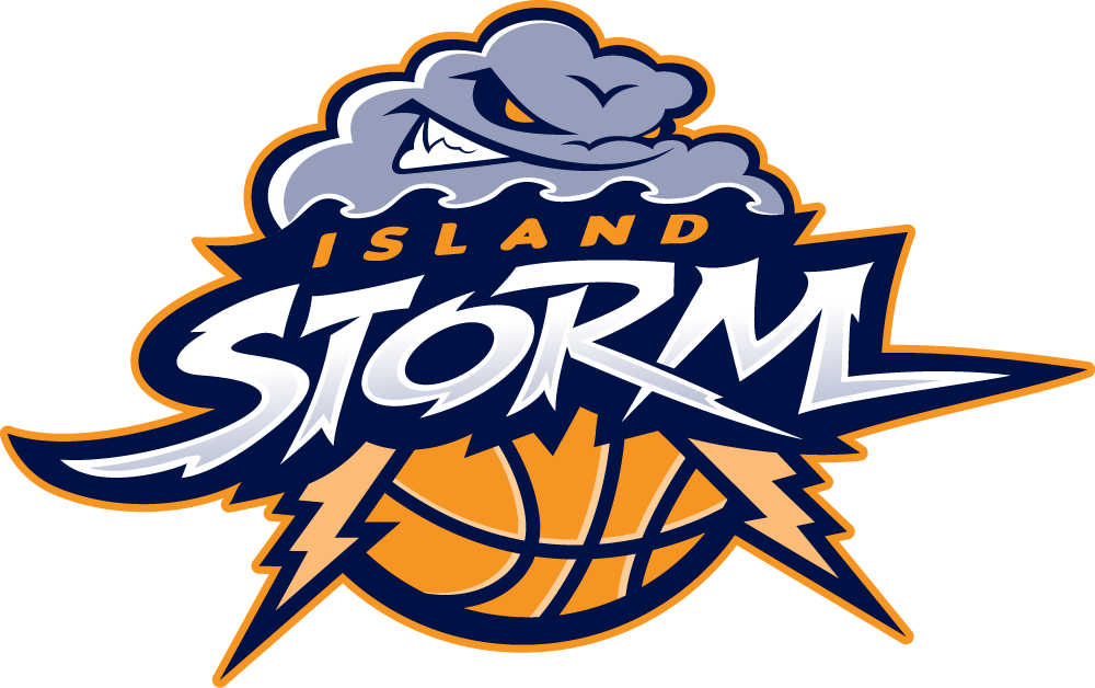 Island Storm 2013-Pres Primary Logo iron on transfers for T-shirts